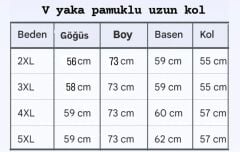 V YAKA UZUN KOL PAMUKLU BLUZ